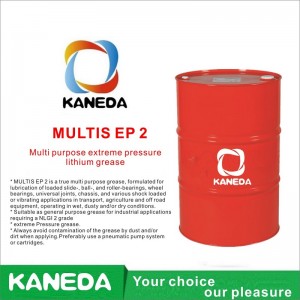 KANEDA MULTIS EP 2 Universeel vet voor extreme druk lithium